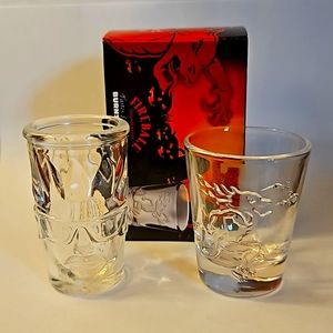 Fireball Hit Damn Shot Glass Lot